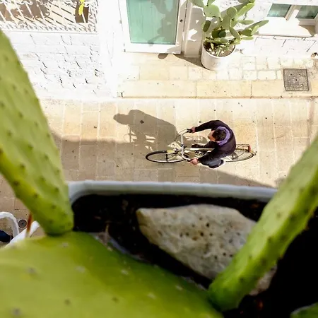 Dimora San Vito 公寓 莫诺波利